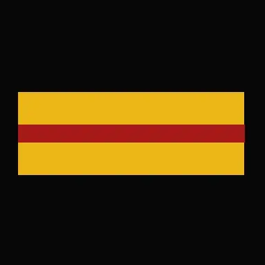 Insigne Brigadier-Chef Encadrement