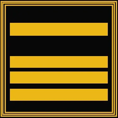 Insigne Commandant Divisionnaire