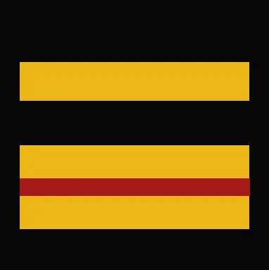 Insigne Major Encadrement